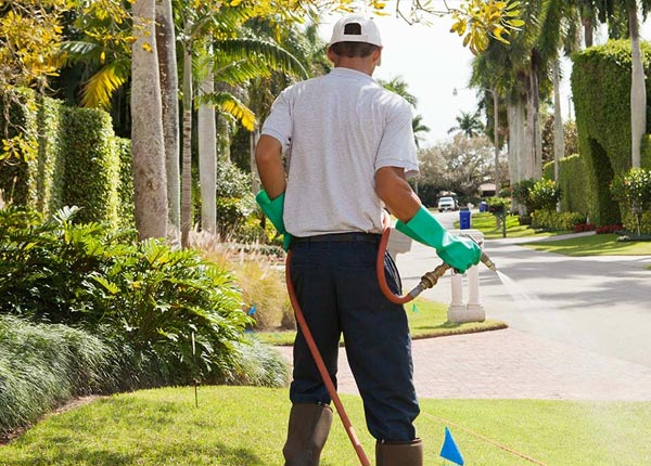 About Sublette KS Pest Control